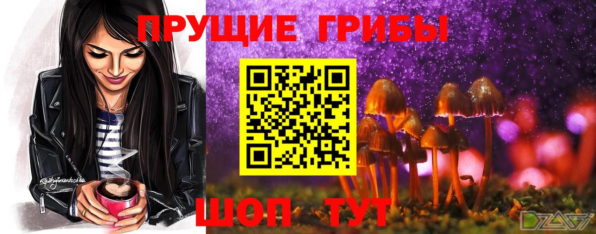 Рославль  Галлюциногенные грибы Cubensis  Вход с VPN 